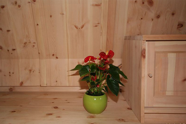 Wandverkleidung und Holzdecken